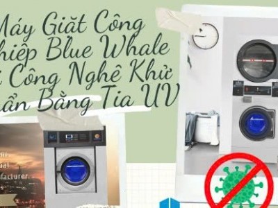 Thương Hiệu Máy Giặt Chăn Công Nghiệp Blue Whale